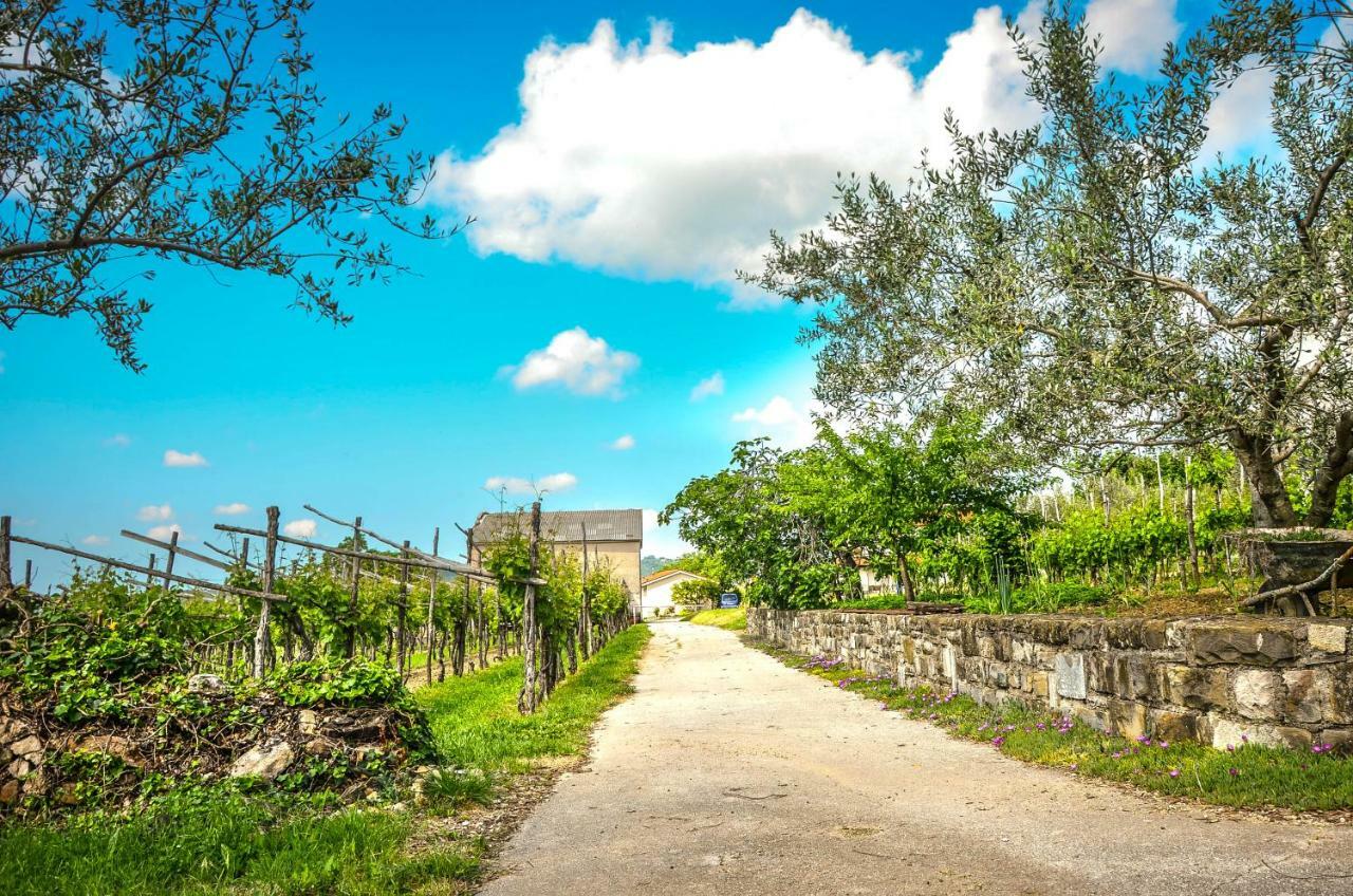 Holiday House Ida Marezige Ngoại thất bức ảnh